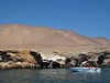napric peru 04